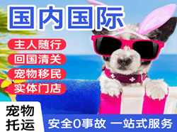 湛江航空邮寄国际宠物托运 【国